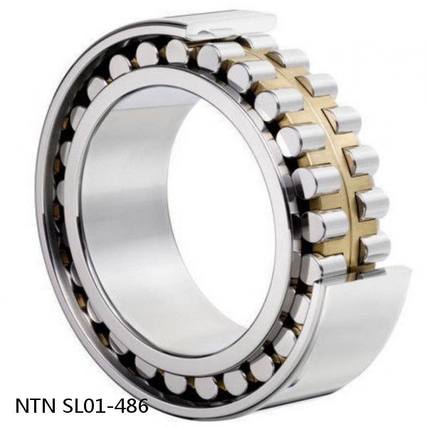SL01-486 NTN Cylindrical Roller Bearing