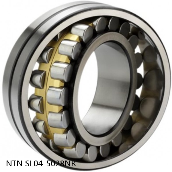 SL04-5028NR NTN Cylindrical Roller Bearing