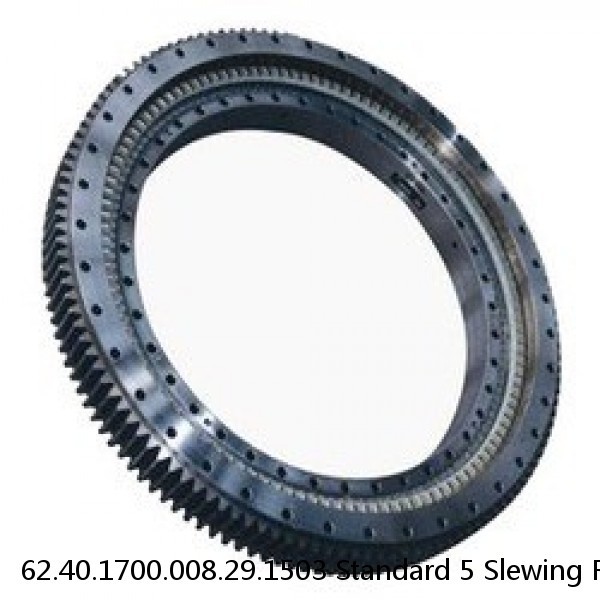 62.40.1700.008.29.1503 Standard 5 Slewing Ring Bearings