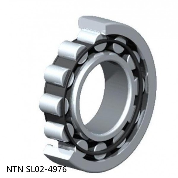 SL02-4976 NTN Cylindrical Roller Bearing