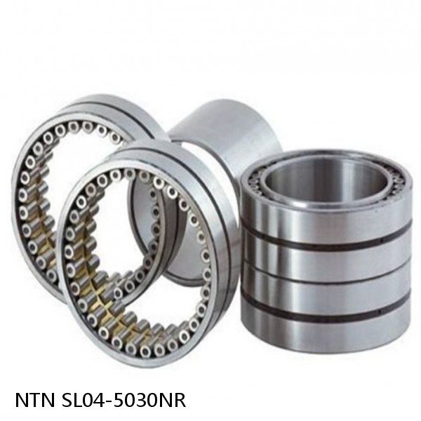 SL04-5030NR NTN Cylindrical Roller Bearing