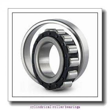 17 mm x 40 mm x 12 mm  FAG N203-E-TVP2  Cylindrical Roller Bearings