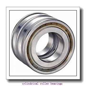 25 mm x 52 mm x 15 mm  FAG N205-E-TVP2  Cylindrical Roller Bearings