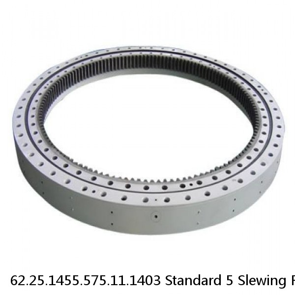 62.25.1455.575.11.1403 Standard 5 Slewing Ring Bearings