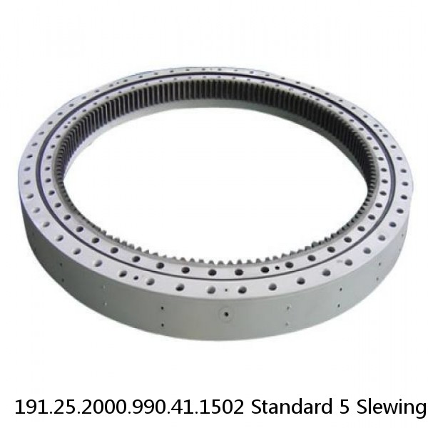 191.25.2000.990.41.1502 Standard 5 Slewing Ring Bearings