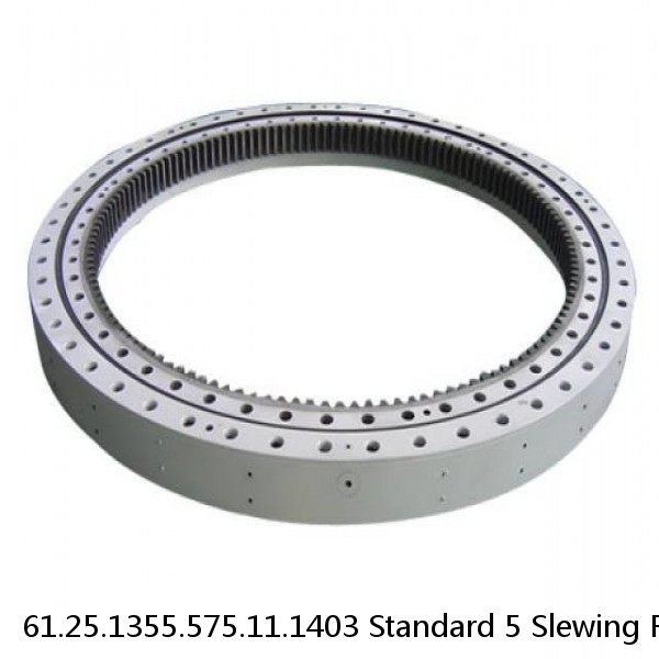 61.25.1355.575.11.1403 Standard 5 Slewing Ring Bearings