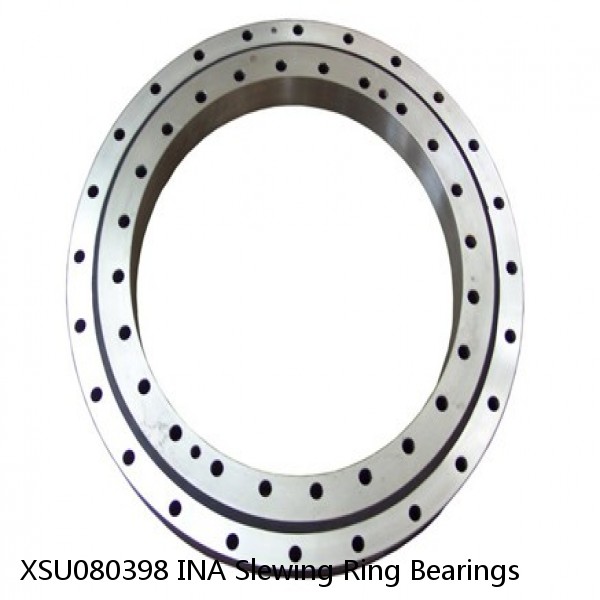 XSU080398 INA Slewing Ring Bearings