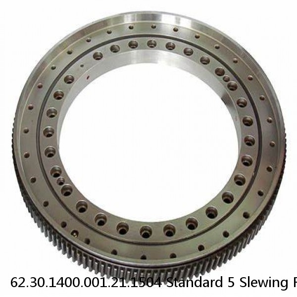 62.30.1400.001.21.1504 Standard 5 Slewing Ring Bearings