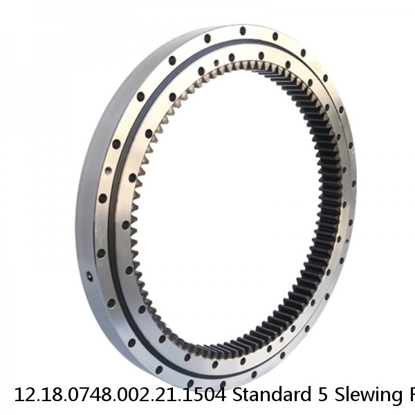 12.18.0748.002.21.1504 Standard 5 Slewing Ring Bearings