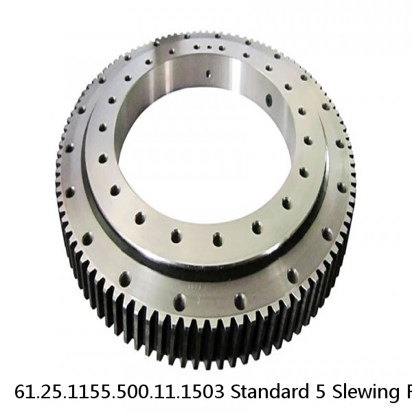 61.25.1155.500.11.1503 Standard 5 Slewing Ring Bearings