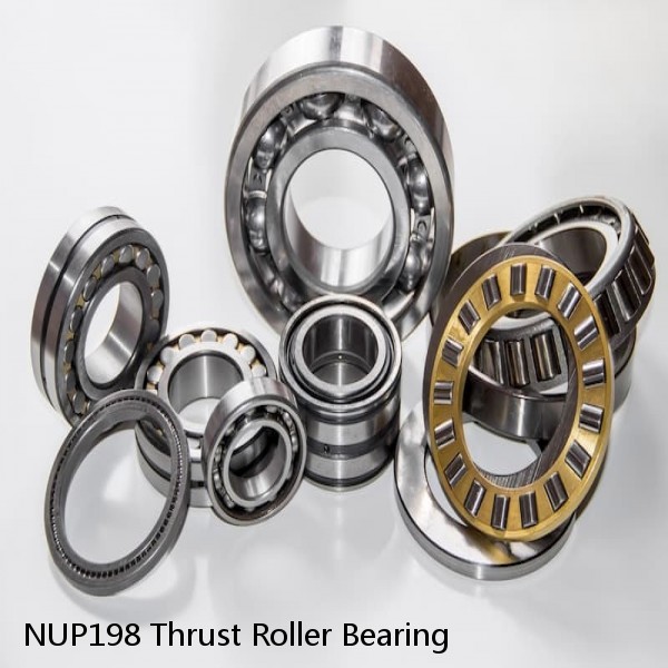 NUP198 Thrust Roller Bearing