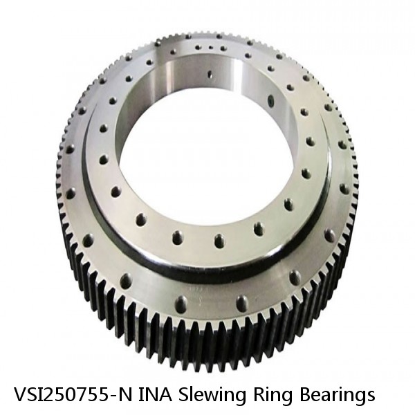 VSI250755-N INA Slewing Ring Bearings