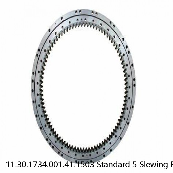 11.30.1734.001.41.1503 Standard 5 Slewing Ring Bearings