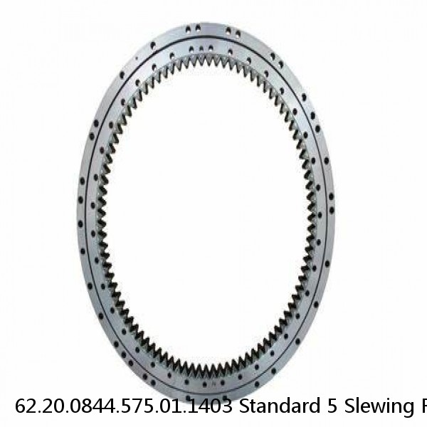 62.20.0844.575.01.1403 Standard 5 Slewing Ring Bearings