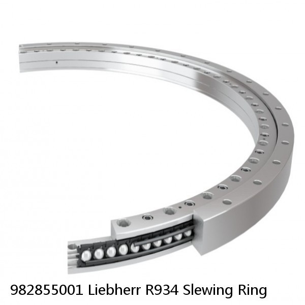 982855001 Liebherr R934 Slewing Ring