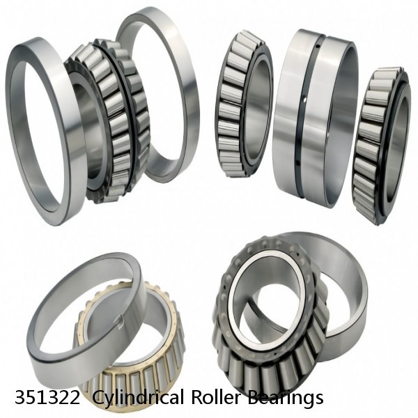 351322  Cylindrical Roller Bearings