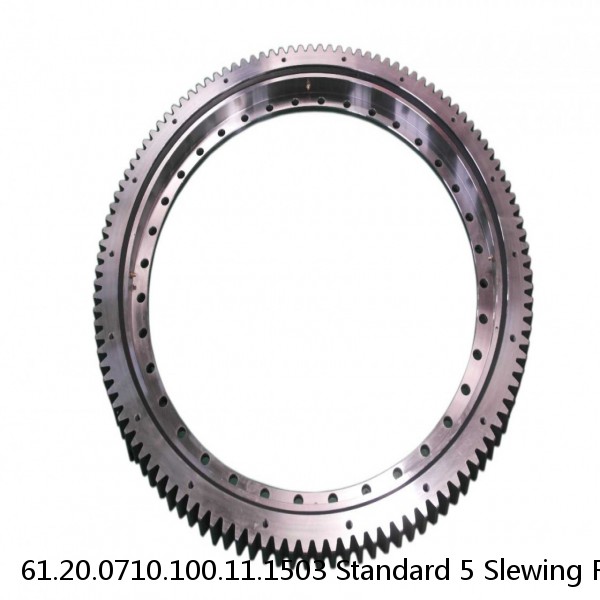 61.20.0710.100.11.1503 Standard 5 Slewing Ring Bearings