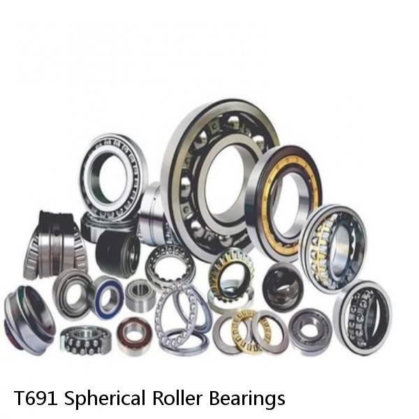 T691 Spherical Roller Bearings