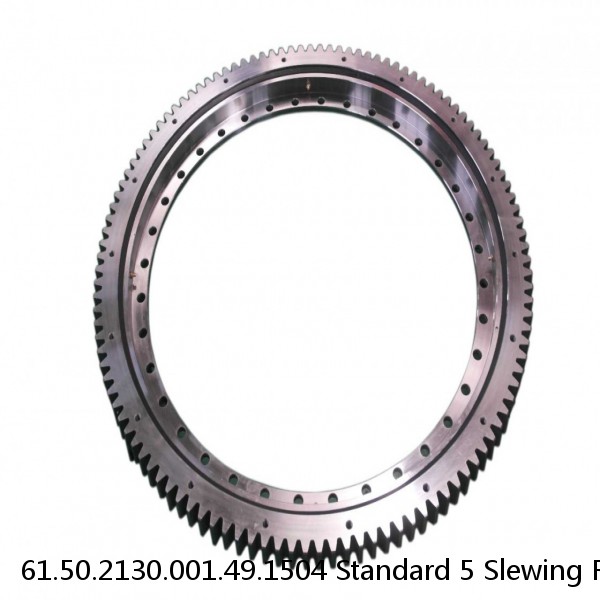 61.50.2130.001.49.1504 Standard 5 Slewing Ring Bearings