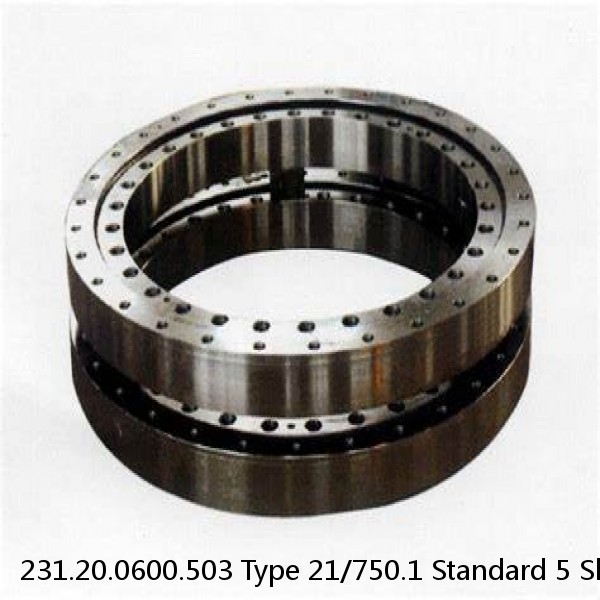 231.20.0600.503 Type 21/750.1 Standard 5 Slewing Ring Bearings