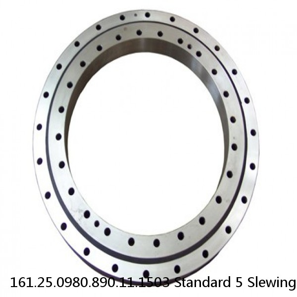 161.25.0980.890.11.1503 Standard 5 Slewing Ring Bearings