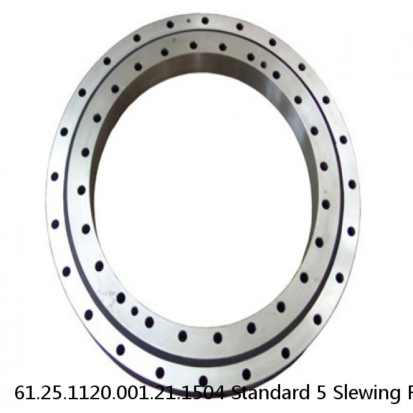 61.25.1120.001.21.1504 Standard 5 Slewing Ring Bearings