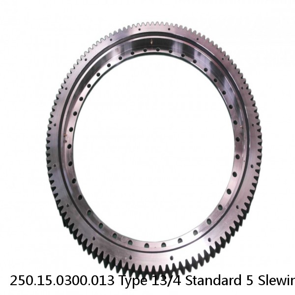 250.15.0300.013 Type 13/4 Standard 5 Slewing Ring Bearings