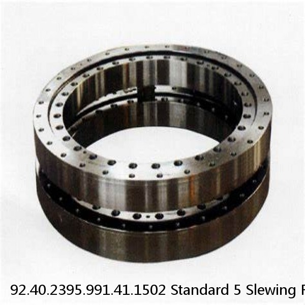 92.40.2395.991.41.1502 Standard 5 Slewing Ring Bearings