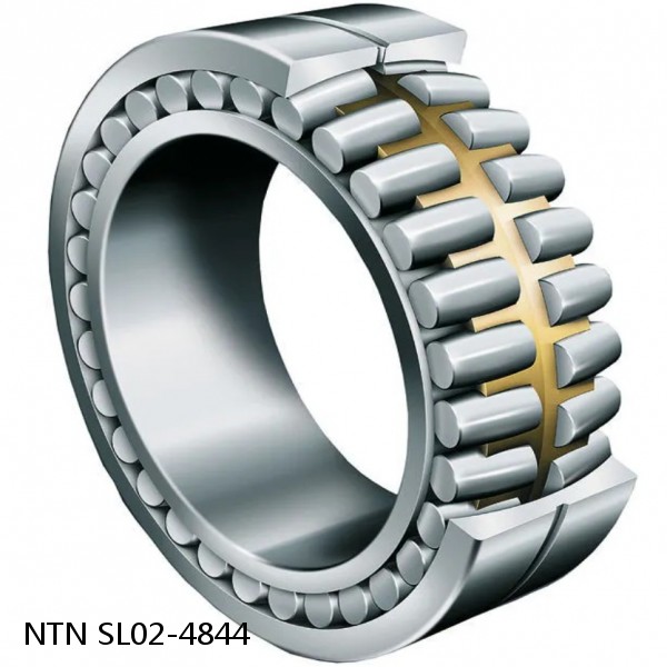 SL02-4844 NTN Cylindrical Roller Bearing