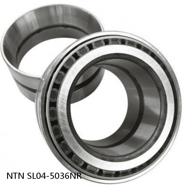 SL04-5036NR NTN Cylindrical Roller Bearing