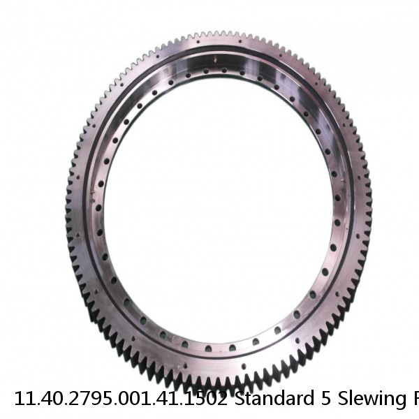 11.40.2795.001.41.1502 Standard 5 Slewing Ring Bearings