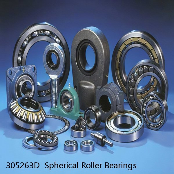 305263D  Spherical Roller Bearings