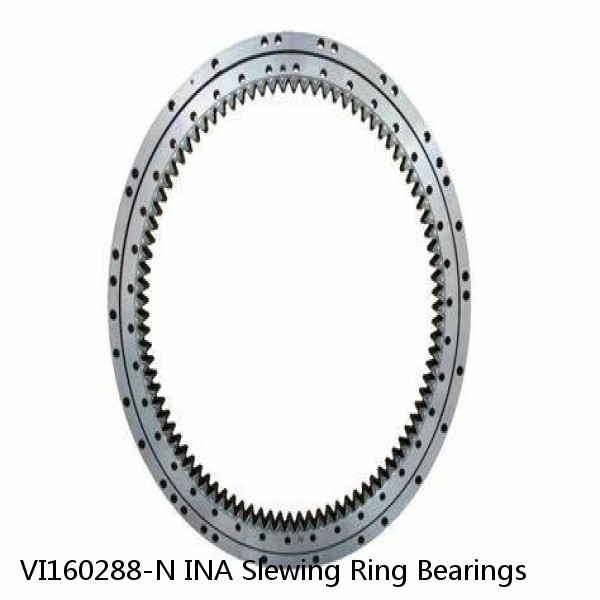 VI160288-N INA Slewing Ring Bearings