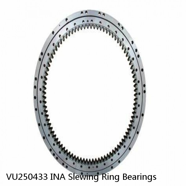 VU250433 INA Slewing Ring Bearings