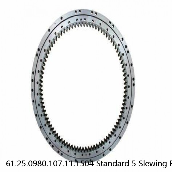 61.25.0980.107.11.1504 Standard 5 Slewing Ring Bearings