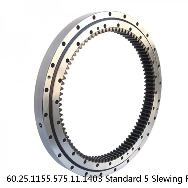 60.25.1155.575.11.1403 Standard 5 Slewing Ring Bearings