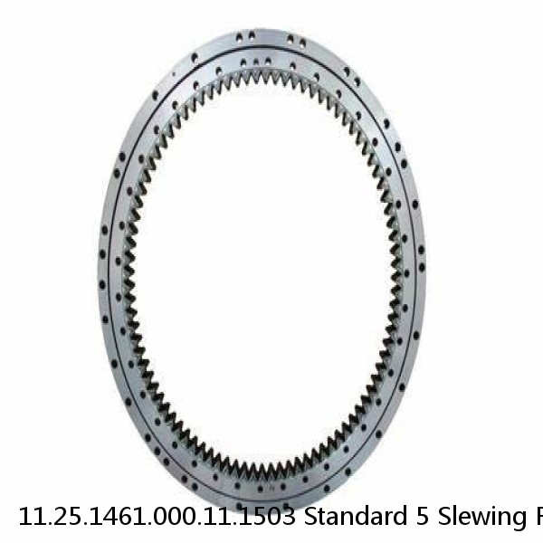 11.25.1461.000.11.1503 Standard 5 Slewing Ring Bearings