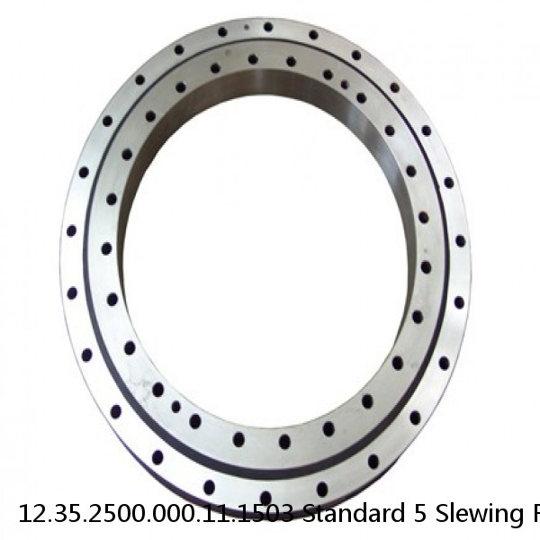 12.35.2500.000.11.1503 Standard 5 Slewing Ring Bearings