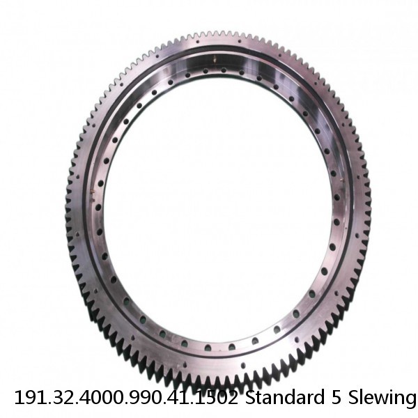 191.32.4000.990.41.1502 Standard 5 Slewing Ring Bearings