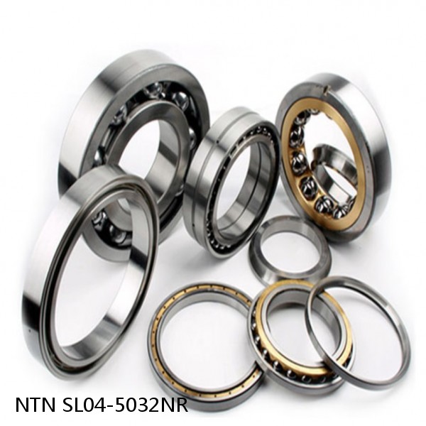 SL04-5032NR NTN Cylindrical Roller Bearing