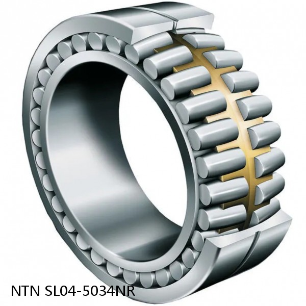 SL04-5034NR NTN Cylindrical Roller Bearing