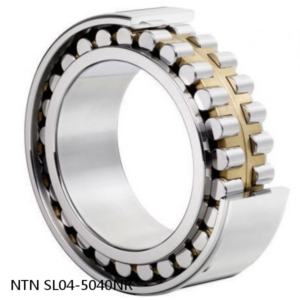 SL04-5040NR NTN Cylindrical Roller Bearing